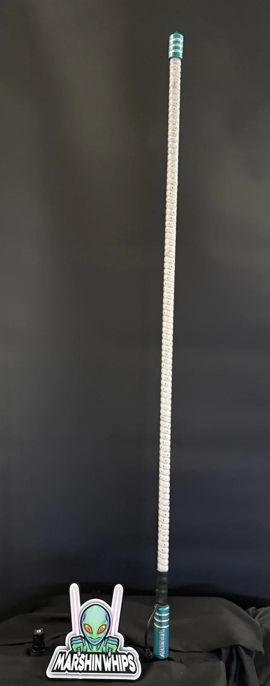 GAME CHANGERS - TEAL (SET)